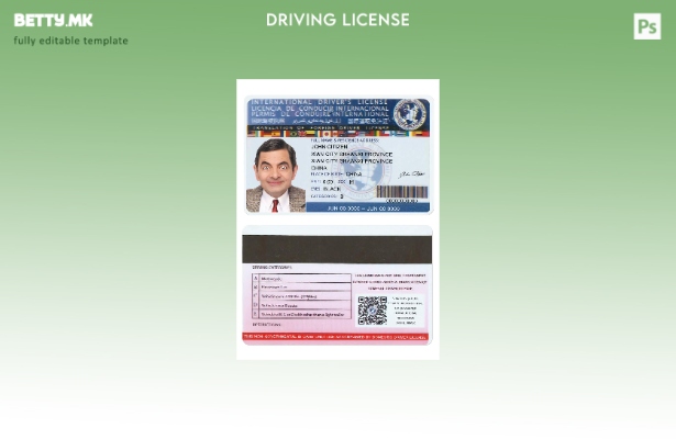 модерен стил Шаблон за меѓународна dl верзија